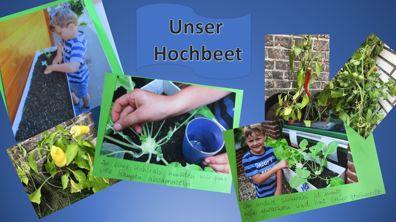 eijd_Unser Hochbeet.JPG